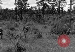 Image of Rifle Squad troops United States USA, 1961, second 33 stock footage video 65675047374