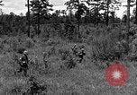 Image of Rifle Squad troops United States USA, 1961, second 34 stock footage video 65675047374