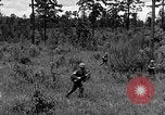 Image of Rifle Squad troops United States USA, 1961, second 35 stock footage video 65675047374