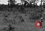 Image of Rifle Squad troops United States USA, 1961, second 36 stock footage video 65675047374