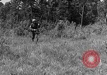 Image of Rifle Squad troops United States USA, 1961, second 44 stock footage video 65675047374