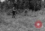 Image of Rifle Squad troops United States USA, 1961, second 45 stock footage video 65675047374