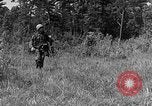 Image of Rifle Squad troops United States USA, 1961, second 46 stock footage video 65675047374