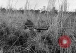 Image of Rifle Squad troops United States USA, 1961, second 55 stock footage video 65675047374