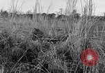 Image of Rifle Squad troops United States USA, 1961, second 56 stock footage video 65675047374