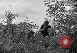 Image of Rifle Squad troops United States USA, 1961, second 58 stock footage video 65675047374