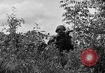 Image of Rifle Squad troops United States USA, 1961, second 59 stock footage video 65675047374