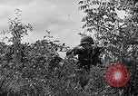 Image of Rifle Squad troops United States USA, 1961, second 60 stock footage video 65675047374