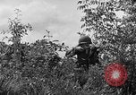 Image of Rifle Squad troops United States USA, 1961, second 61 stock footage video 65675047374