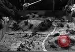 Image of battle formation United States USA, 1942, second 15 stock footage video 65675047376