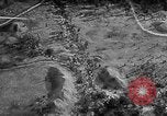 Image of battle formations United States USA, 1942, second 25 stock footage video 65675047381