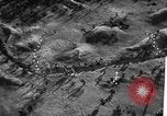 Image bataille United States USA, 1942, de la seconde 32 séquences d'archives historiques vidéo 65675047385