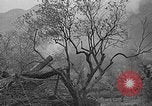 Image les troupes des États-Unis Italie, 1944, de la seconde 20 séquences d'archives historiques vidéo 65675047387