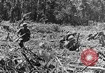 Standbild Amerikanische Infanterie im Zweiten Weltkrieg europäische Theater, 1944, aus Sekunde 50 historischem Filmmaterial Videoclip 65675047390