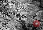 Standbild Dekontaminierungsmethoden United States USA, 1942, aus Sekunde 53 historischem Filmmaterial Videoclip 65675047394