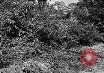 Standbild Dekontamination Methode United States USA, 1942, aus Sekunde 12 historischem Filmmaterial Videoclip 65675047395