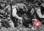 Standbild Dekontamination Methode United States USA, 1942, aus Sekunde 27 historischem Filmmaterial Videoclip 65675047395