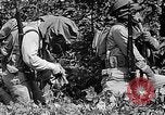 Standbild Dekontamination Methode United States USA, 1942, aus Sekunde 29 historischem Filmmaterial Videoclip 65675047395