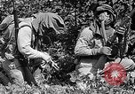Standbild Dekontamination Methode United States USA, 1942, aus Sekunde 30 historischem Filmmaterial Videoclip 65675047395