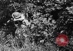 Standbild Dekontamination Methode United States USA, 1942, aus Sekunde 33 historischem Filmmaterial Videoclip 65675047395
