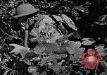 Standbild Dekontamination Methode United States USA, 1942, aus Sekunde 38 historischem Filmmaterial Videoclip 65675047395