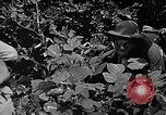 Standbild Dekontamination Methode United States USA, 1942, aus Sekunde 39 historischem Filmmaterial Videoclip 65675047395