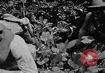 Standbild Dekontamination Methode United States USA, 1942, aus Sekunde 41 historischem Filmmaterial Videoclip 65675047395