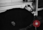 Image of Frank D Coster New York United States USA, 1938, second 21 stock footage video 65675047411