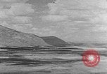 Image berger arabe joue instrument Palestine, 1941, de la seconde 27 séquences d'archives historiques vidéo 65675047419