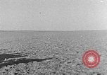 Image berger arabe joue instrument Palestine, 1941, de la seconde 36 séquences d'archives historiques vidéo 65675047419