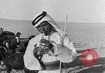 Image berger arabe joue instrument Palestine, 1941, de la seconde 47 séquences d'archives historiques vidéo 65675047419