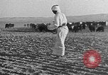 Image berger arabe joue instrument Palestine, 1941, de la seconde 48 séquences d'archives historiques vidéo 65675047419