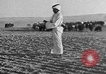 Image berger arabe joue instrument Palestine, 1941, de la seconde 50 séquences d'archives historiques vidéo 65675047419