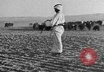 Image berger arabe joue instrument Palestine, 1941, de la seconde 51 séquences d'archives historiques vidéo 65675047419