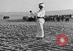 Image berger arabe joue instrument Palestine, 1941, de la seconde 52 séquences d'archives historiques vidéo 65675047419
