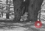 Image of Solomon's Temple Lebanon, 1941, second 36 stock footage video 65675047420
