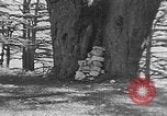 Image of Solomon's Temple Lebanon, 1941, second 39 stock footage video 65675047420
