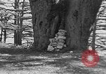 Image of Solomon's Temple Lebanon, 1941, second 40 stock footage video 65675047420