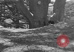 Image of Solomon's Temple Lebanon, 1941, second 41 stock footage video 65675047420