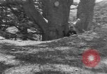 Image of Solomon's Temple Lebanon, 1941, second 42 stock footage video 65675047420