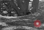 Image of Solomon's Temple Lebanon, 1941, second 43 stock footage video 65675047420