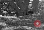 Image of Solomon's Temple Lebanon, 1941, second 45 stock footage video 65675047420