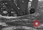 Image of Solomon's Temple Lebanon, 1941, second 46 stock footage video 65675047420
