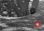 Image of Solomon's Temple Lebanon, 1941, second 47 stock footage video 65675047420