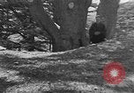 Image of Solomon's Temple Lebanon, 1941, second 48 stock footage video 65675047420