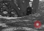Image of Solomon's Temple Lebanon, 1941, second 49 stock footage video 65675047420