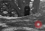 Image of Solomon's Temple Lebanon, 1941, second 50 stock footage video 65675047420