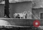 Image of Solomon's Temple Lebanon, 1941, second 52 stock footage video 65675047420