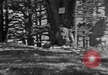 Image of Solomon's Temple Lebanon, 1941, second 55 stock footage video 65675047420