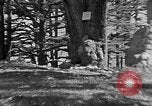 Image of Solomon's Temple Lebanon, 1941, second 57 stock footage video 65675047420